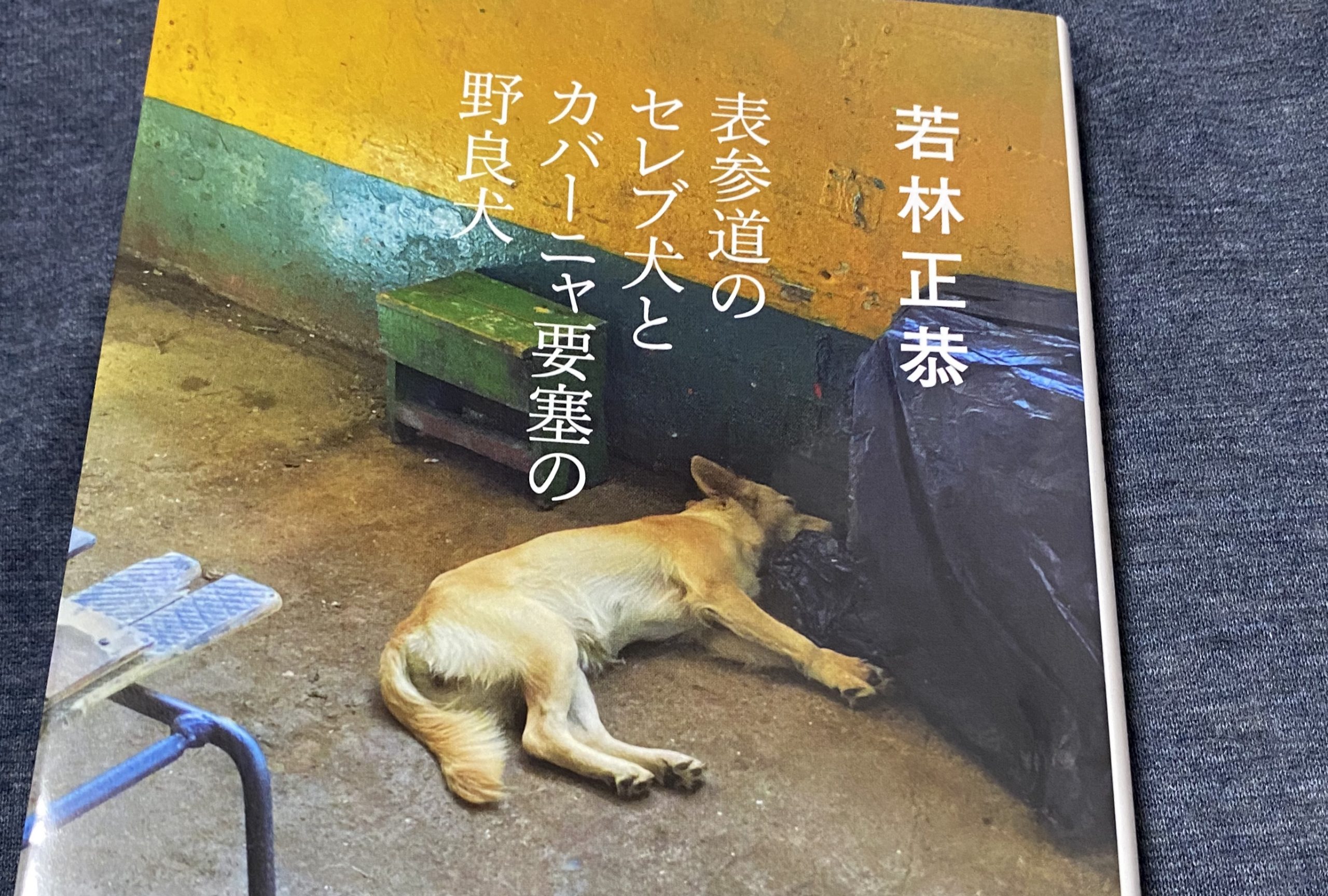 『表参道のセレブ犬とカバーニャ要塞の野良犬』（文庫版）を読ん